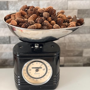 May include: A black mechanical kitchen scale with a round cream-coloured dial and a large silver metal bowl filled with a collection of small brown pinecones. The scale features a needle pointing towards the zero mark on the circular gauge.