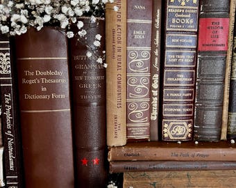 Vintage Books | Shades of BROWN | Hardcover | Office Decor, Shelf Display, Old Library, Dark Academia, Wedding Decor, Vintage Gifts