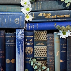 May include: A collection of antique books in various shades of blue and green, with gold lettering and decorative details. White daisies and green foliage are interspersed among the books, creating a vintage aesthetic. Titles include "Lord Vanity" and "All Things Wise and Wonderful."