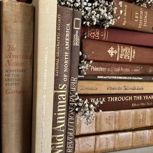 Op de afbeelding: Een verzameling vintage boeken in bruine en beige tinten, met gouden letters. Titels zijn onder meer "Wild Animals of North America" en "Revolutionary War". Kleine witte bloemen zijn tussen de boeken geplaatst.
