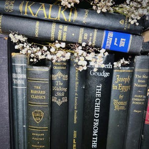 May include: A selection of antique books with black covers and gold lettering, featuring titles such as "Kalki," "The Walking Stick," and "Joseph in Egypt." Small white flowers are placed among the books, creating a classic aesthetic.
