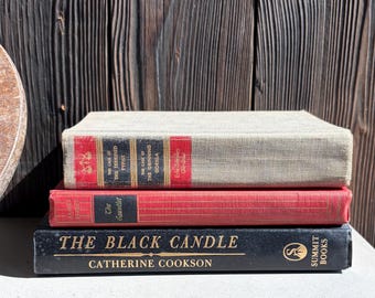Vintage Moody Mystery Books | Set Of 3 | Dark Academia Gothic Noir Library Shelf Decor
