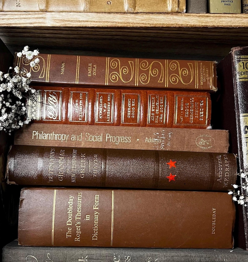 Op de afbeelding: Een stapel vintage boeken met bruine en bruinbeige covers. Titels zijn onder meer "Nana" van Emile Zola, "Philanthropy and Social Progress" en "The Doubleday Roget's Thesaurus". De boeken zijn gerangschikt op een houten plank.