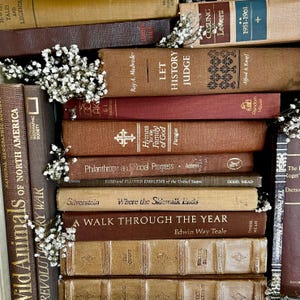 Op de afbeelding: Een verzameling vintage boeken in verschillende bruin- en beigetinten, gestapeld. Titels zijn onder meer "Let History Judge" en "Where the Sidewalk Ends". Kleine witte bloemen zijn tussen de boeken geplaatst, wat een klassieke, literaire esthetiek cre&euml;ert.