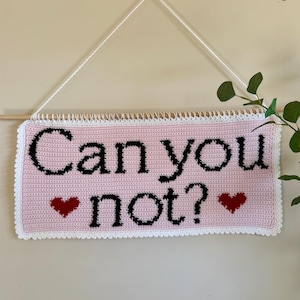 Pode incluir: Uma tapeçaria de parede de crochê rosa com o texto "Can you not?" em letras pretas. Dois corações vermelhos estão na parte inferior. As bordas são aparadas com crochê branco. A placa é suspensa por um pino de madeira e barbante branco.