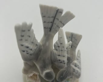 Mamá pájaro alimentando a su cría. Vintage. Una pieza preciosa.