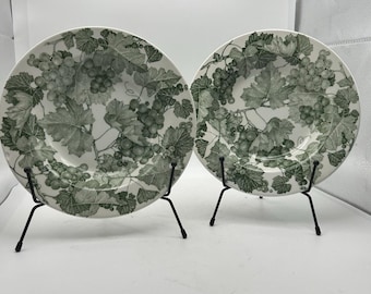 Ceramica Quadrifoglio Rim Soup Bowls Made In Italy Set of 2 Green Grapes