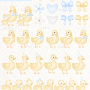 Puede incluir: Ilustraciones en acuarela de patos amarillos con lazos azules y gorros de fiesta, junto con dise&ntilde;os florales y de coraz&oacute;n. La imagen incluye el texto "71 Illustrations PNG | 300dpi" y la marca "Luz & Co".