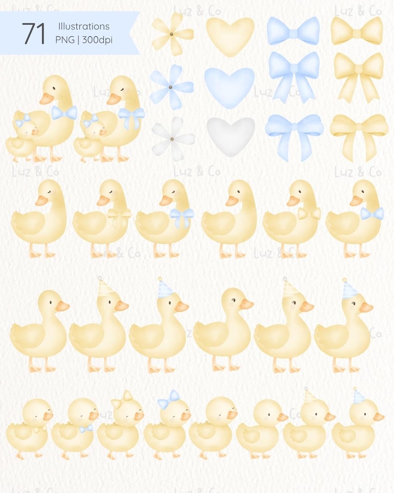Puede incluir: Ilustraciones en acuarela de patos amarillos con lazos azules y gorros de fiesta, junto con dise&ntilde;os florales y de coraz&oacute;n. La imagen incluye el texto "71 Illustrations PNG | 300dpi" y la marca "Luz & Co".