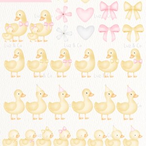 Puede incluir: Colecci&oacute;n de 71 ilustraciones en acuarela. Muestra patos amarillos con lazos rosas y gorros de fiesta, flores, corazones y lazos en colores pastel. El texto dice "Illustrations PNG | 300dpi".