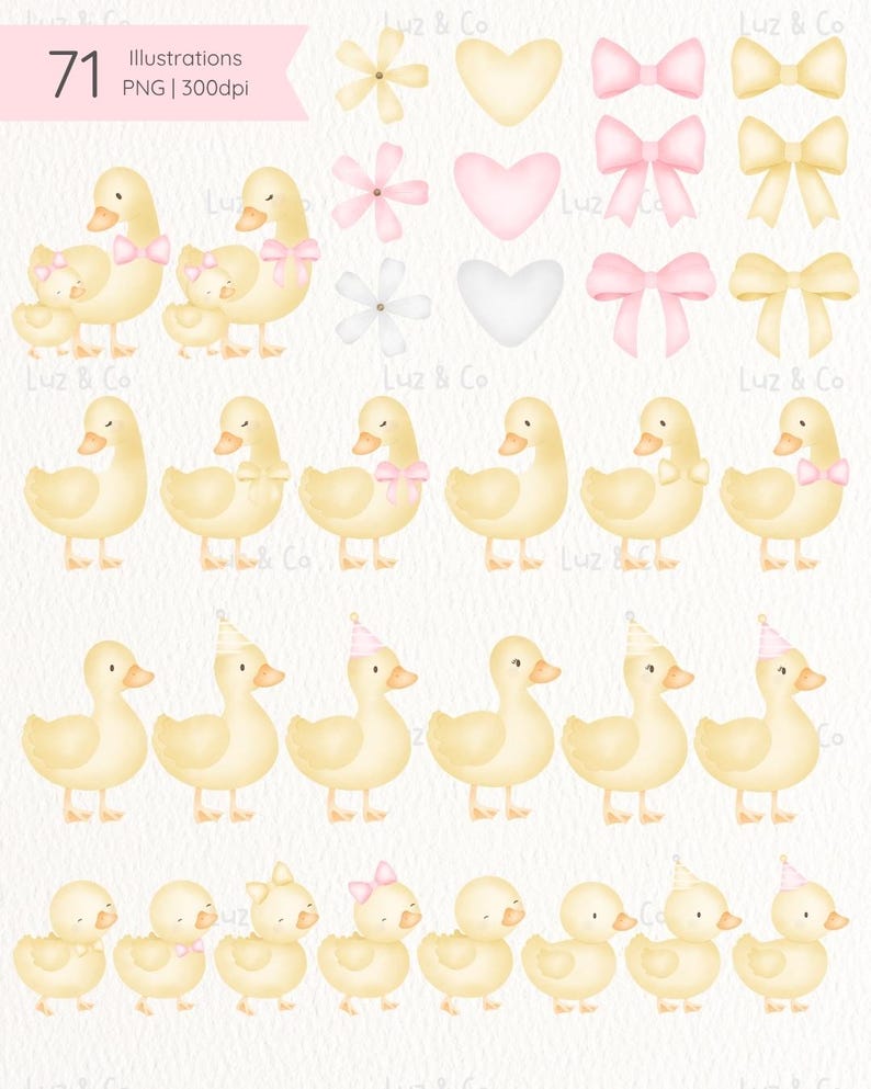 Puede incluir: Colecci&oacute;n de 71 ilustraciones en acuarela. Muestra patos amarillos con lazos rosas y gorros de fiesta, flores, corazones y lazos en colores pastel. El texto dice "Illustrations PNG | 300dpi".