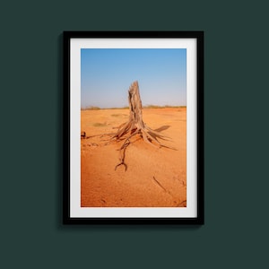 May include: Framed landscape photograph featuring a dead tree trunk with exposed roots in an arid, orange desert under a clear blue sky. The artwork is encased in a black frame, creating a striking contrast against the desert scene.
