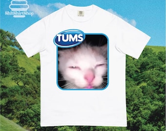 Tummy Ache Tums Meme Cat Graphic Shirt, Funny Meme Gen-Z Tee, Weirdcore Funny Cat Shirt, Vintage Style Gen Z Funny Tee, cadeau voor kattenliefhebbers
