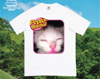 Pepto Bismol for Cats: Safe Use and Essential Precautions