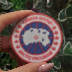 Arctic Expedition Embroidered Patch, Iron On Badge, Winter Applique