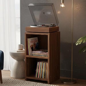 May include: A wooden record player stand with a turntable on top and two shelves filled with vinyl records. A gold floor lamp and a potted plant are next to the stand. A blue armchair and a small side table are in the background.