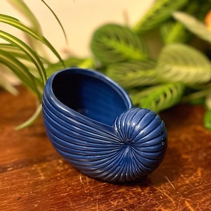 May include: A deep blue ceramic planter shaped like a nautilus shell. The planter has a textured, ridged surface and a smooth, open interior. The nautilus shell planter is a decorative item for plants.