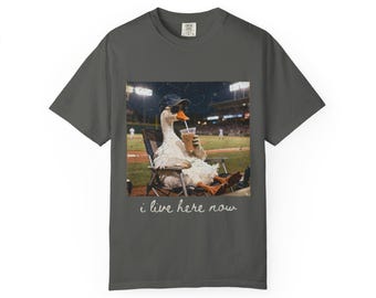 Vida de béisbol de gansos ''Vivo aquí ahora'' Texto