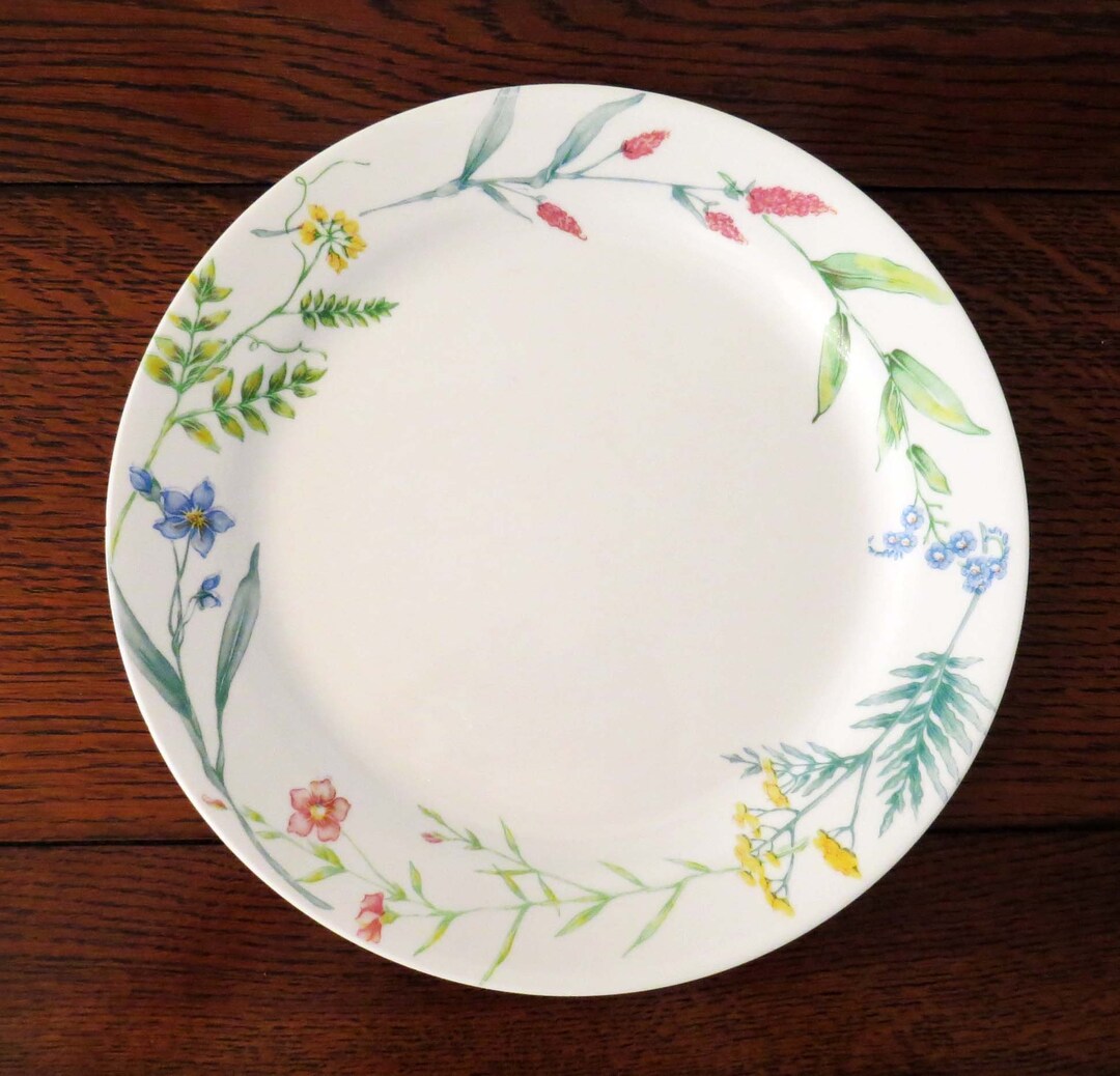 Vintage Set/5 Corelle my Garden by Corning 10.25 DINNER Plates / 1999