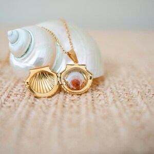 Op de afbeelding: Een goudkleurige metalen medaillonhanger in de vorm van een schelp, hangend aan een bijpassende gouden ketting. Het medaillon is geopend en toont een gestructureerde binnenkant aan de ene kant en een kleine, roodbruine schelpinleg aan de andere.