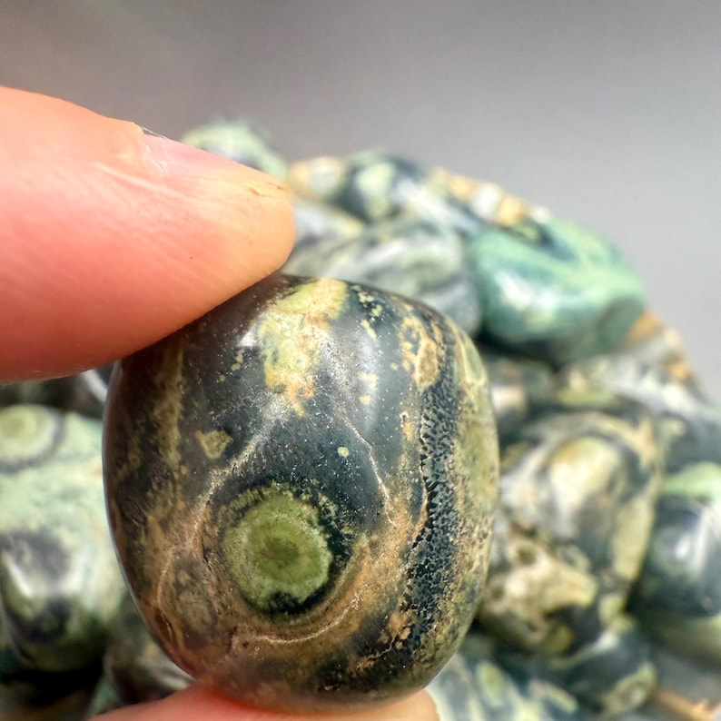 May include: A close-up of a polished, oval-shaped stone with a dark green and brown mottled pattern. The stone has a smooth, glossy surface with lighter green circular markings. The stone is being held by a finger.
