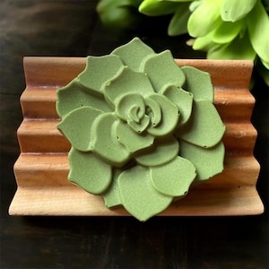 CLEARANCE: Succulent Shea Butter Hand Soap