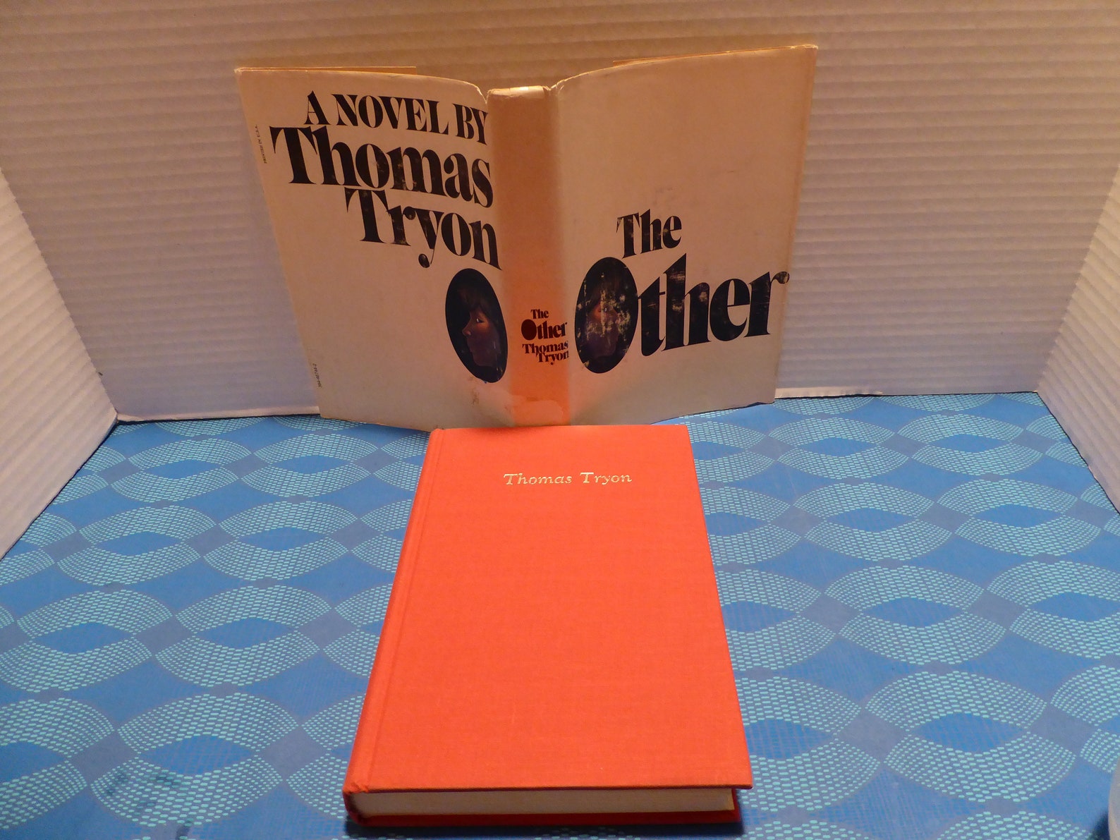 the other thomas tryon summary the other thomas tryon summary