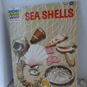 1972 The How and Why Sea Shells Wonder Book of
