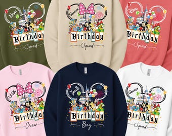 Gepersonaliseerde Disney-verjaardagssweatshirt, bijpassende sweater familieverjaardag, aangepaste Disney-sweater, Disney feestvarken sweater