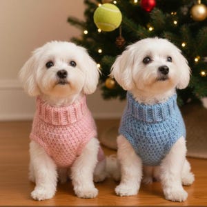 May include: Two small white dogs wearing knitted sweaters, one pink and one blue, sit together. They are in front of a Christmas tree decorated with baubles and lights. The dogs have fluffy white fur and are looking forward.