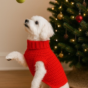 May include: A white dog wearing a red, crocheted turtleneck sweater, looking up at a yellow tennis ball. The dog is sitting on a wooden floor with a Christmas tree in the background, decorated with ornaments and lights.
