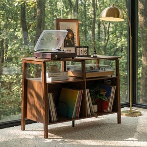 May include: A wooden record player stand with two turntables, shelves for vinyl records, and a framed picture. A gold floor lamp with a dome-shaped shade is next to the stand. The stand is in front of a large window.