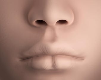 BJD doll head Ren, 40cm BJD head, doll head, ball jointed doll head, anime head, customizable, head, 3d print doll head, STL doll, ooak