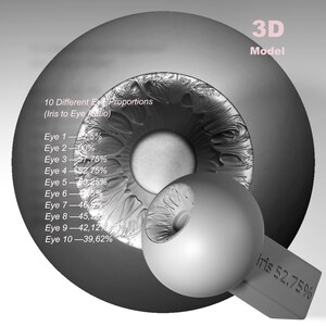 May include: A grayscale 3D model of a human eye, with a detailed iris and a detached section showing the iris ratio. Text indicates 10 different eye proportions, with the text "3D Model" in the upper right corner.