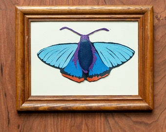 Chalypyge Zereda butterfly gallery art, leather moth, leather portrait