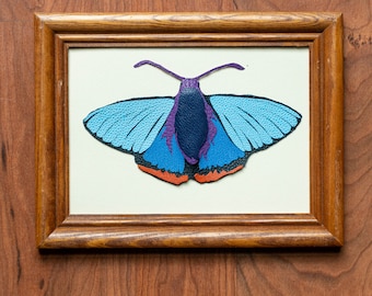 Chalypyge Zereda butterfly gallery art, leather moth, leather portrait