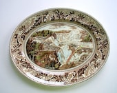 Vintage Historic America Oval Serving Platter Niagara Falls Brown Multicolor Transferware Johnson Bros England