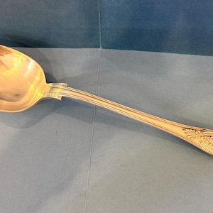 May include: A silver spoon with an oval bowl and a long, decorated handle. The handle features an ornate floral and shell design at the end. The spoon is made of a shiny, reflective metal.