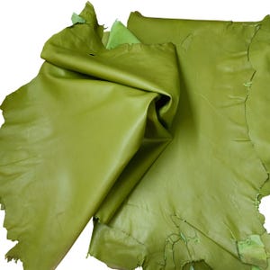 Pode incluir: Close-up de várias folhas de couro verde-oliva. O couro tem uma superfície lisa e ligeiramente brilhante com texturas e imperfeições naturais visíveis. As bordas do couro são irregulares, sugerindo que é cortado de peles maiores. A cor é consistente.