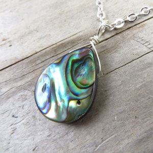 Abalone necklace Paua shell pendant 18 silver dainty chain choice of silver plated or sterling silver image 1