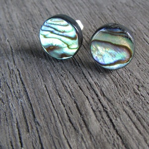 Abalone Stud Earrings - stainless steel post and ear nut - Paua Shell jewelry - 8mm 10mm or 12mm