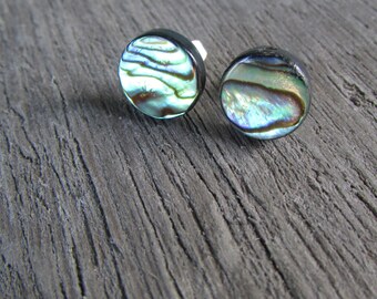 Abalone Stud Earrings - stainless steel post and ear nut - Paua Shell jewelry - 8mm 10mm or 12mm