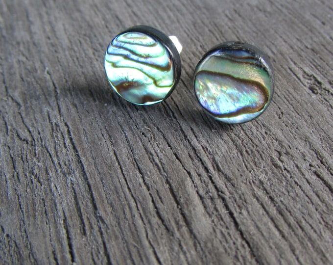 Abalone Stud Earrings Stainless Steel Post and Ear Nut Paua Shell Jewelry 8mm 10mm or 12mm Etsy