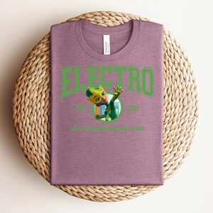 May include: A mauve t-shirt with the word "ELECTRO" in green block letters and a cartoon character graphic. The graphic includes the text "EST. 2021" and "SUPER ELECTRO FRIENDS". The t-shirt is folded on a woven, circular mat.