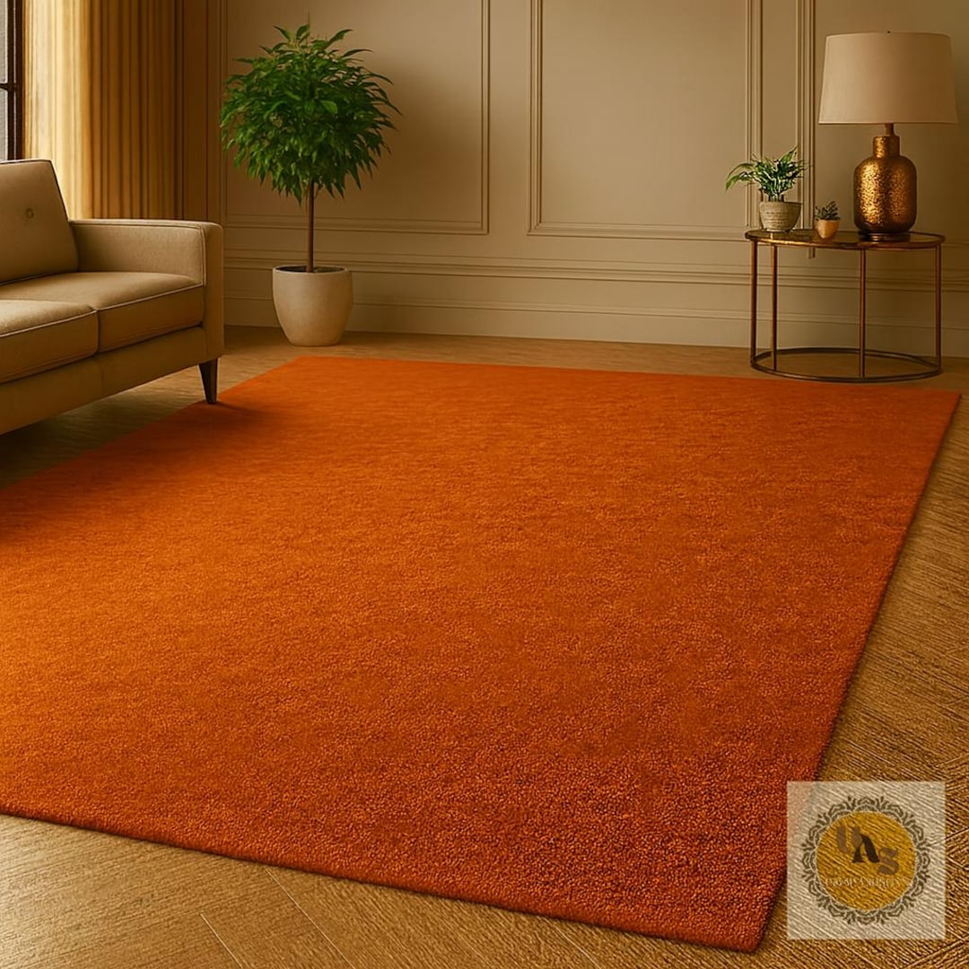 Luxury Burnt Orange Area Rug for Living Room Soft Plush Minimalist — free download