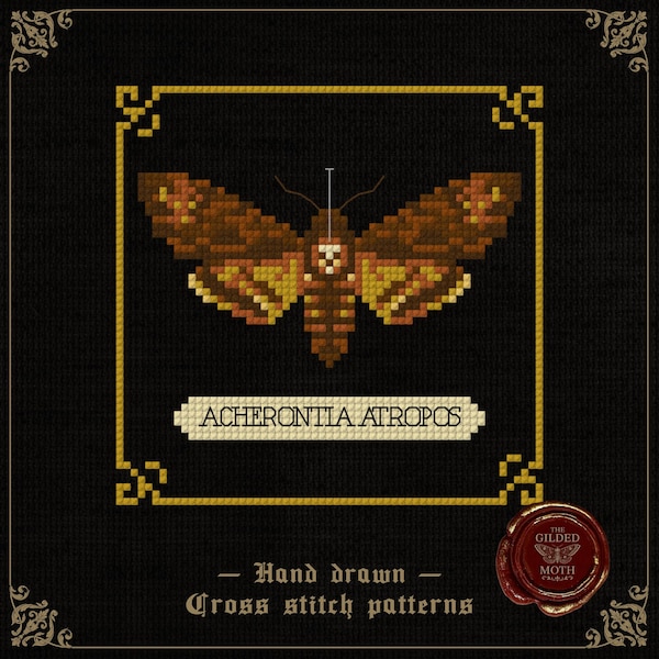 Polilla calavera / Patrón de punto de cruz gótico de historia natural / Bordado de insectos oscuros en PDF