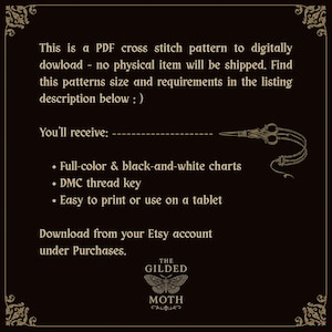 Vampire counted cross stitch bundle | gothic pattern pack | dark embroidery chart pdf printables | Dracula black Aida design | vintage image 5