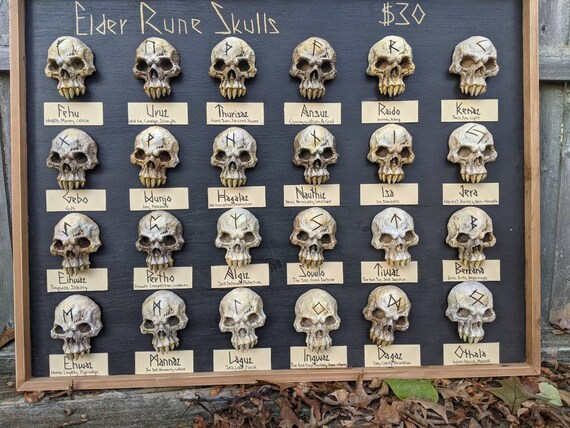 Elder Futhark Rune Skull Wall Hanger