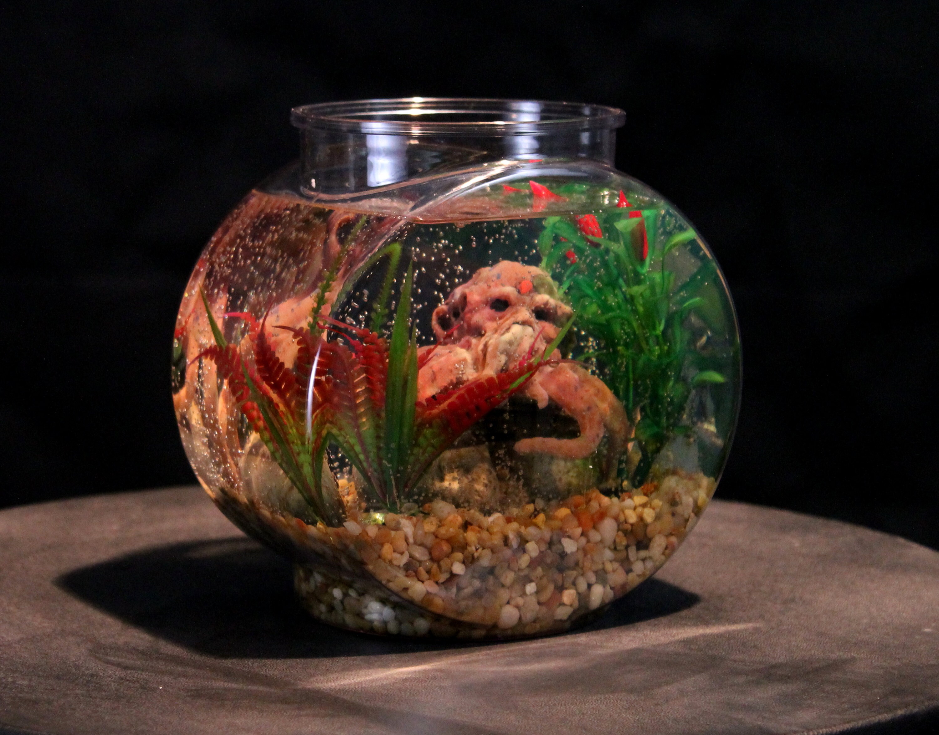 Cthulhu Octopus Pet Aquarium for Lovecraft and Monster Lovers Etsy