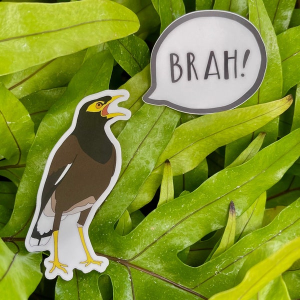 Myna Bird, MINI BRAH!, or Set (one of each) - Local Kine Stickers